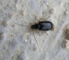 A identificar A identificar