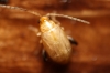 a identificar a identificar