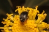 a identificar