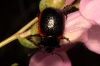 a identificar a identificar