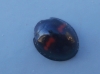 Chilocorus bipustulatus Chilocorus bipustulatus