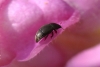 a identificar a identificar