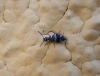 A identificar A identificar