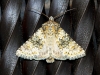 Hecatera dysodea Hecatera dysodea