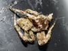 Araneus 1/6