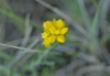 A identificar A identificar
