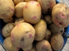 Solanum tuberosum L. 'Picasso'