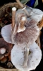 Macrolepiota sp