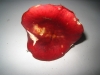 Russula xerampelina (Schaeff.) Fr. 1838