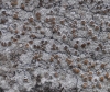 Lecanora aff. intumescens Lecanora aff. intumescens