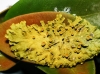 Xanthoria parietina Xanthoria parietina