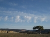 Cirrus floccus virga (Ci flo vir)