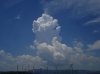 Cumulus congestus (Cu con)