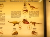 Dinosaures de Portell