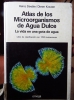 Taller de "micro" Taller de "micro"