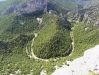 Bosque de pino blanco. Rambla de Sellumbres, Rincó de l'Enjambre